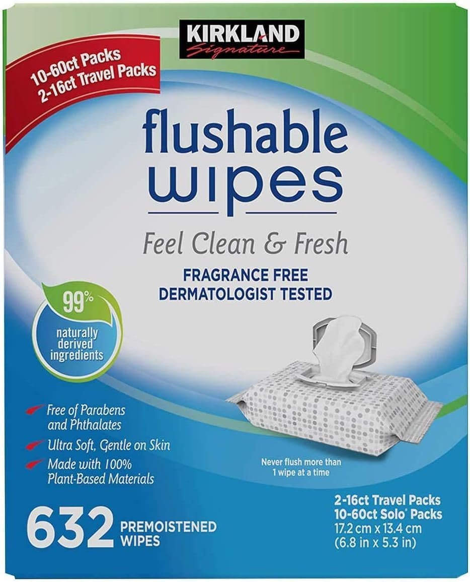 Version 1.0.0 Kirkland Signature Moist Flushable Wipes, 632 Wipes - Image 1